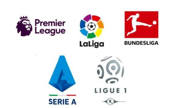 球迷和球员 球迷和球员